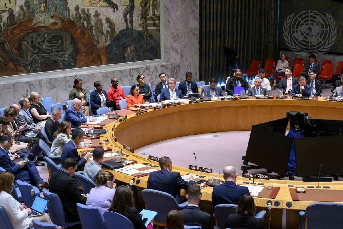 security council briefing